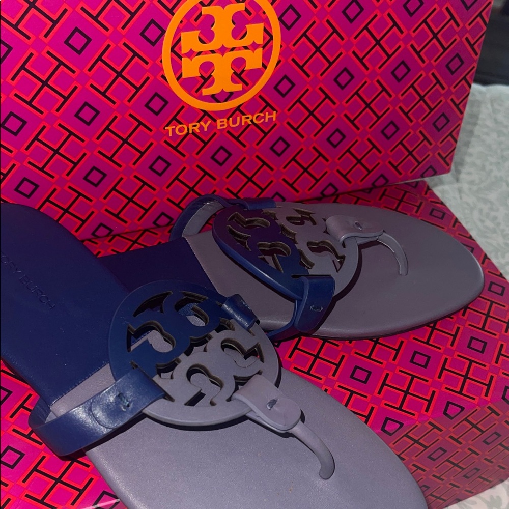 Tory Burch Blue and Purple Sandals Rare